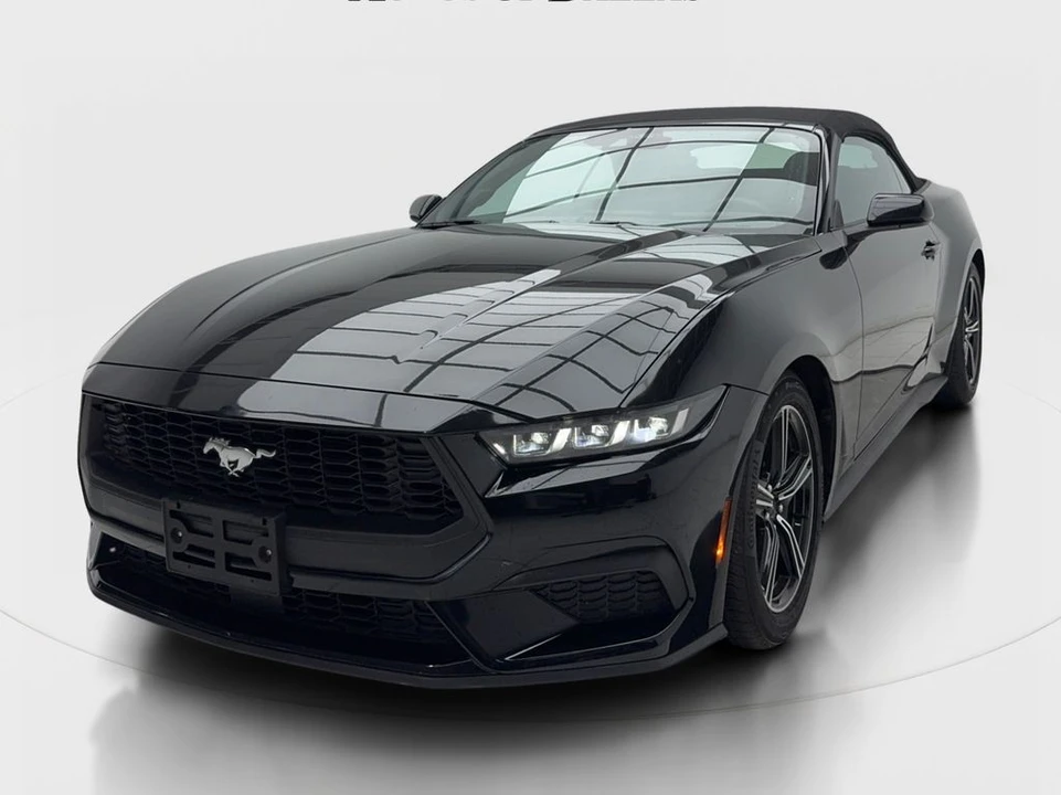 2025 Ford S650 Mustang - Image 4 of 31