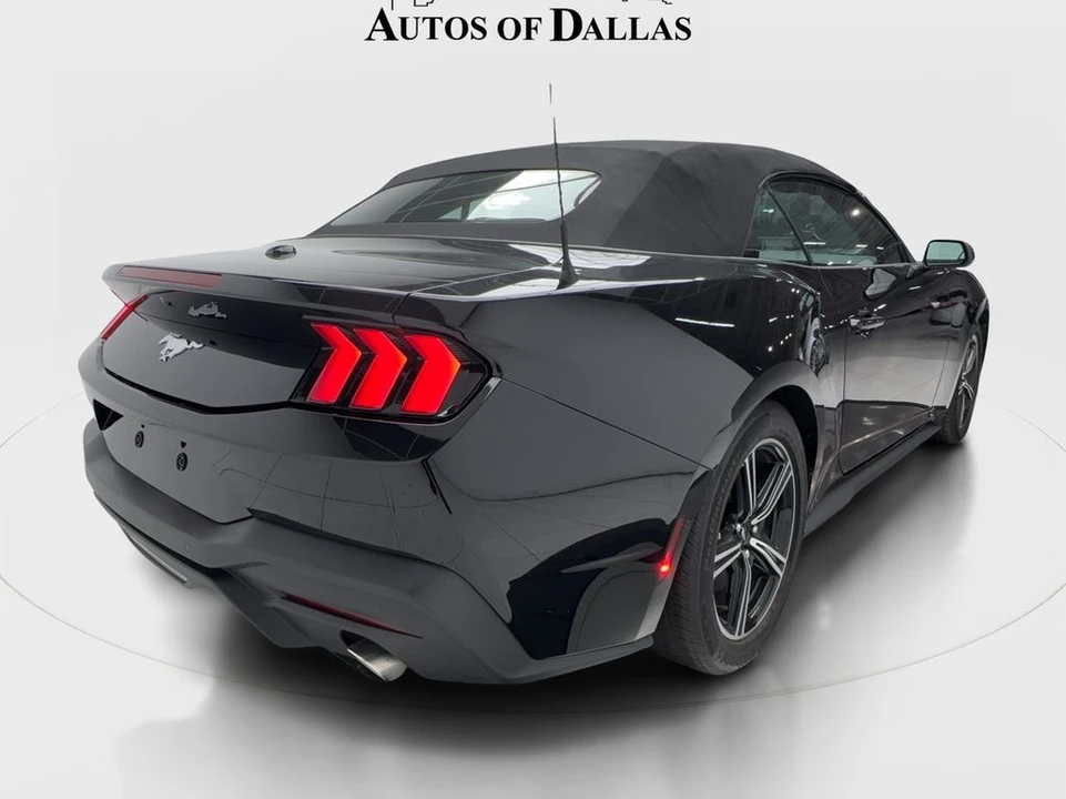 2025 Ford S650 Mustang - Image 9 of 31