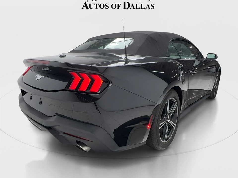 2025 Ford S650 Mustang - Image 9 of 31