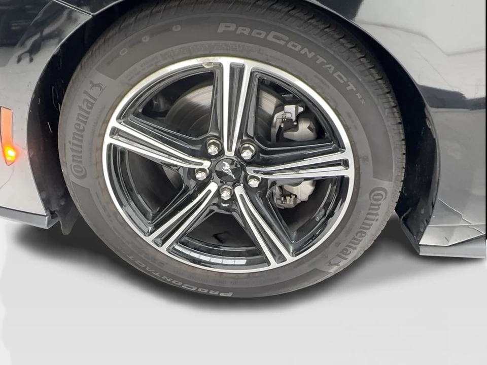 2025 Ford S650 Mustang - Image 13 of 31
