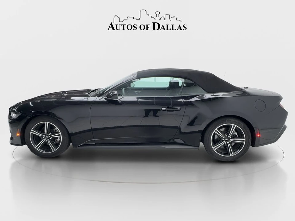 2025 Ford S650 Mustang - Image 6 of 31