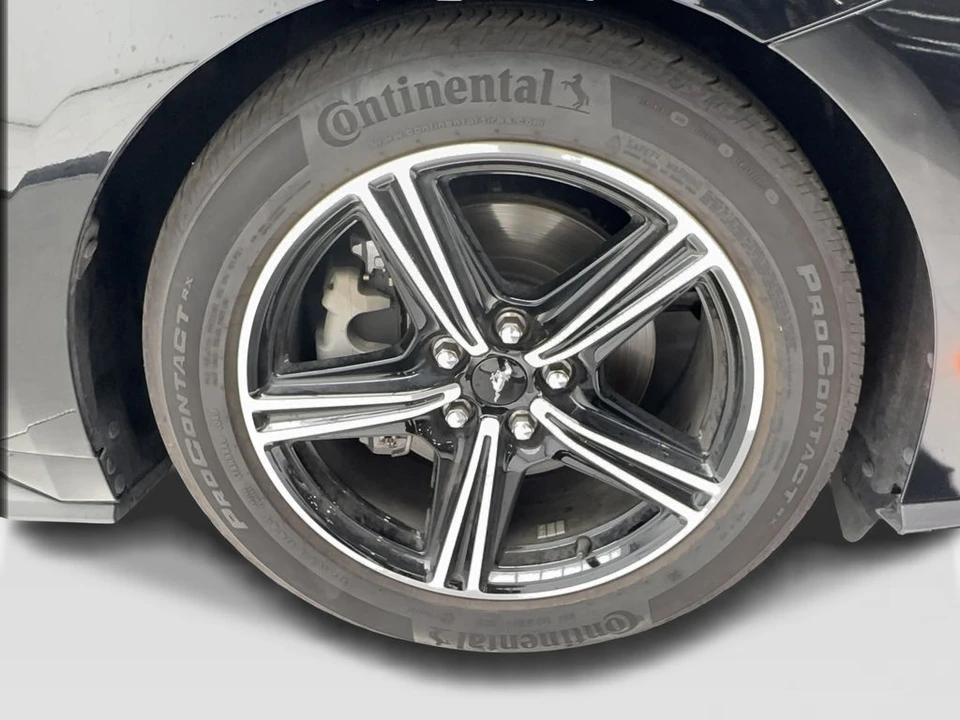 2025 Ford S650 Mustang - Image 14 of 31