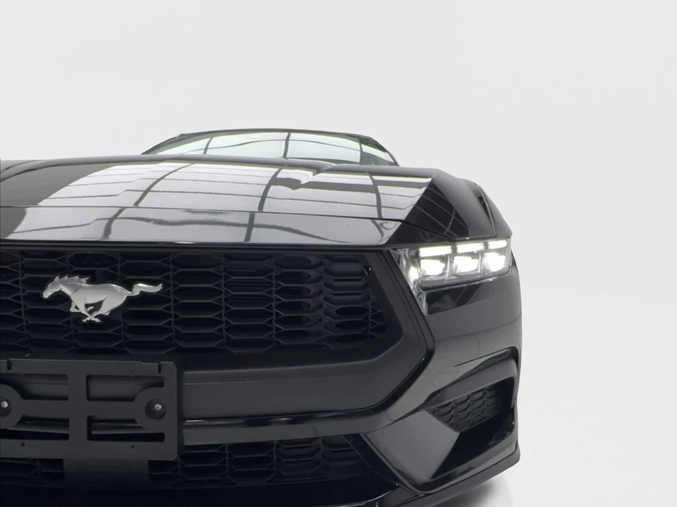 2025 Ford S650 Mustang - Image 5 of 31