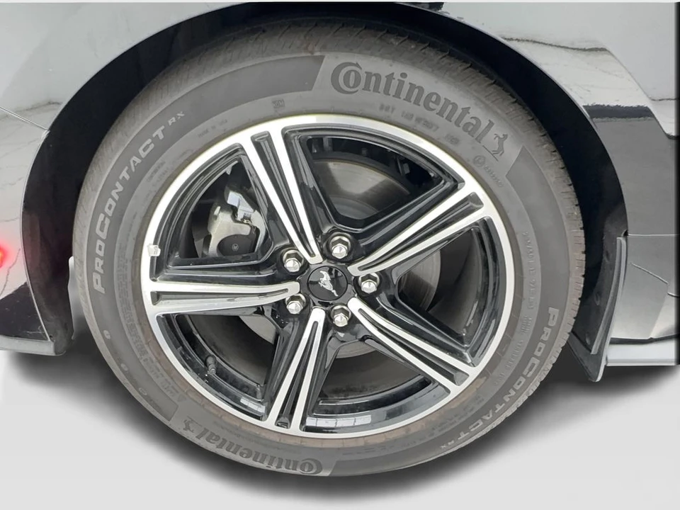 2025 Ford S650 Mustang - Image 16 of 31