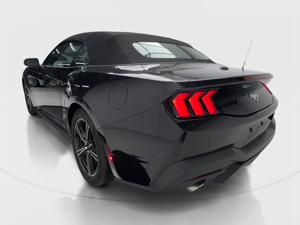 2025 Ford S650 Mustang - Image 11 of 31