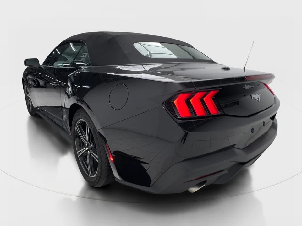 2025 Ford S650 Mustang - Image 11 of 31