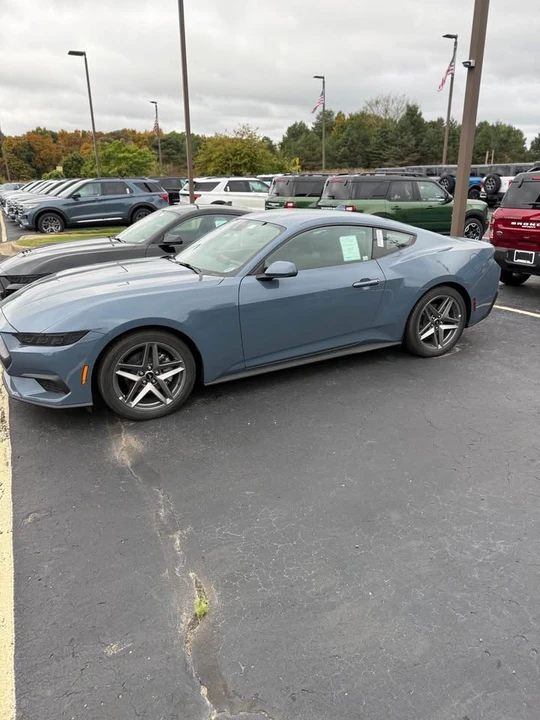 2025 Ford S650 Mustang - Image 2 of 8