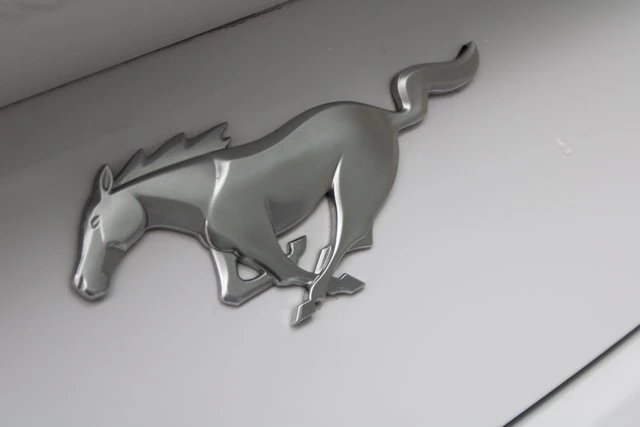 2025 Ford S650 Mustang - Image 20 of 20