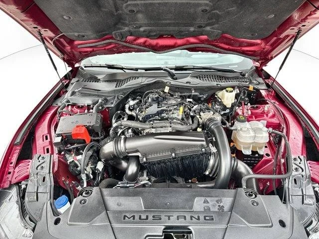 2025 Ford S650 Mustang - Image 18 of 20