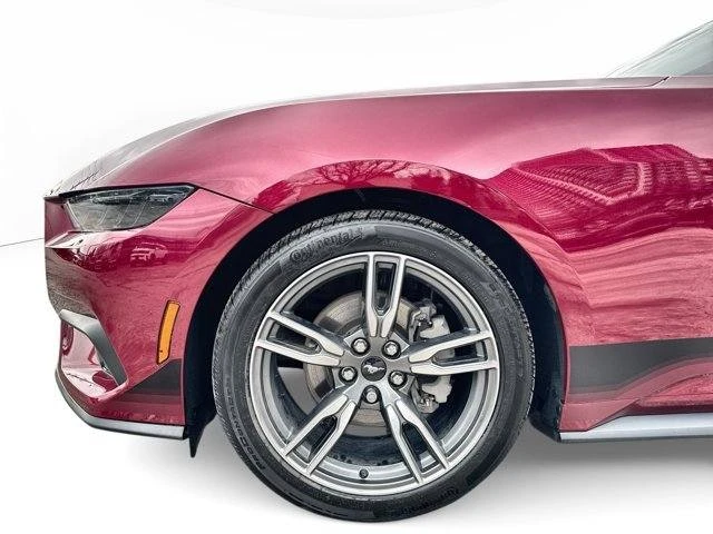 2025 Ford S650 Mustang - Image 19 of 20