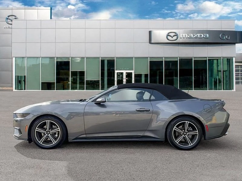 2025 Ford S650 Mustang - Image 3 of 15