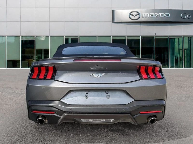 2025 Ford S650 Mustang - Image 5 of 15