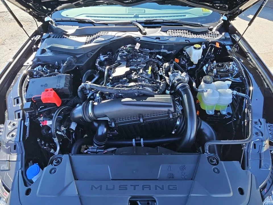 2025 Ford S650 Mustang - Image 20 of 21