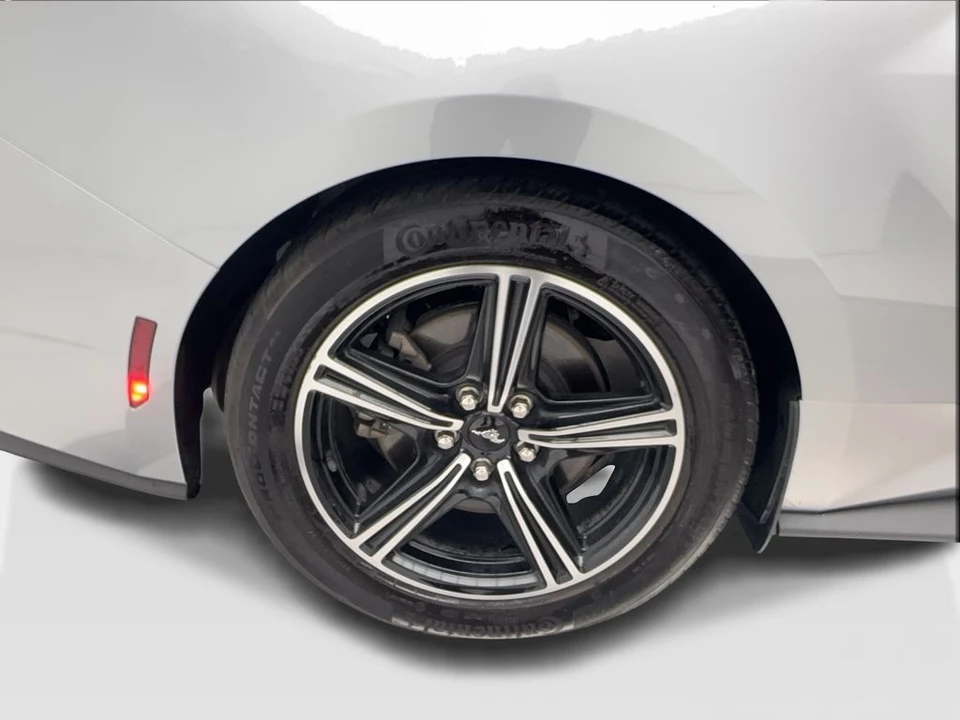 2025 Ford S650 Mustang - Image 16 of 31