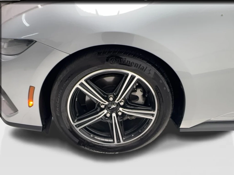 2025 Ford S650 Mustang - Image 13 of 31