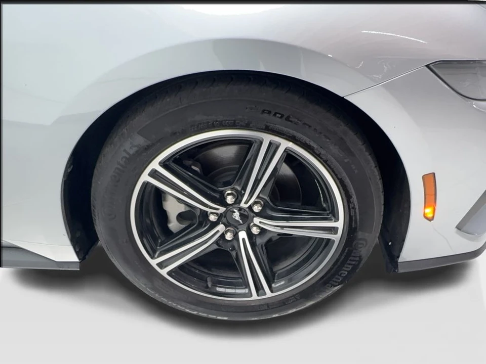 2025 Ford S650 Mustang - Image 14 of 31