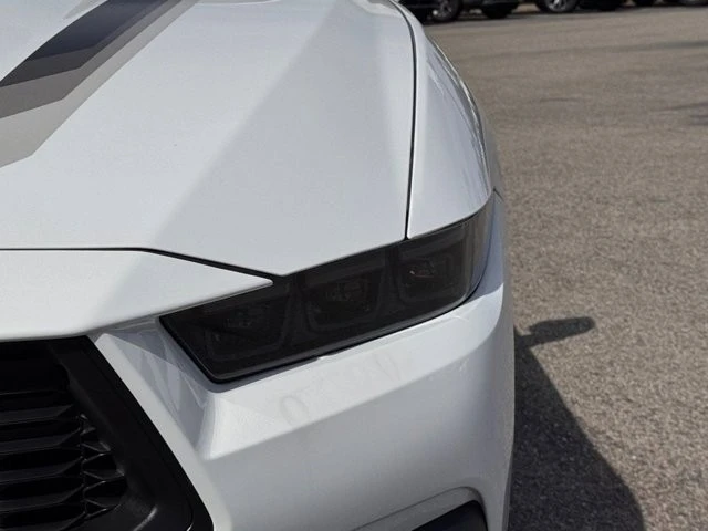2025 Ford S650 Mustang - Image 8 of 12