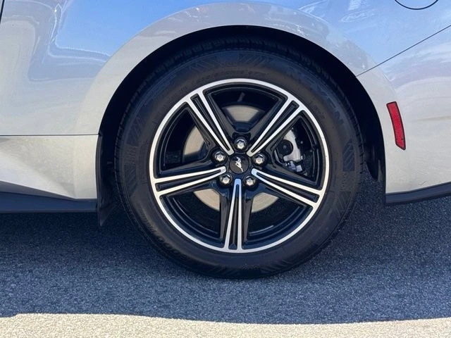 2025 Ford S650 Mustang - Image 14 of 30