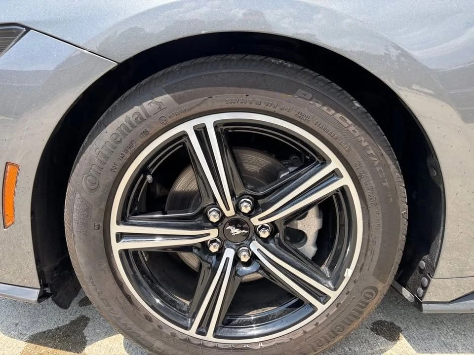 2025 Ford S650 Mustang - Image 10 of 20