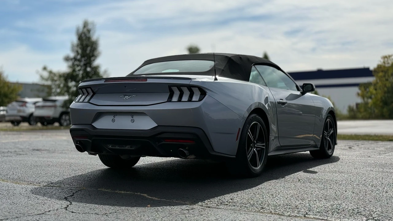2025 Ford S650 Mustang - Image 9 of 21