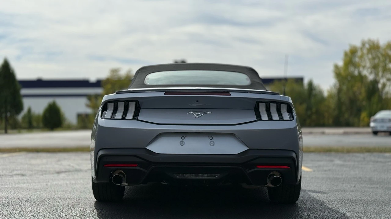 2025 Ford S650 Mustang - Image 8 of 21