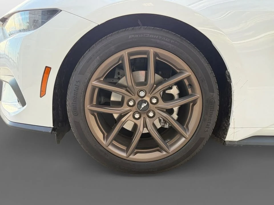 2025 Ford S650 Mustang - Image 19 of 20