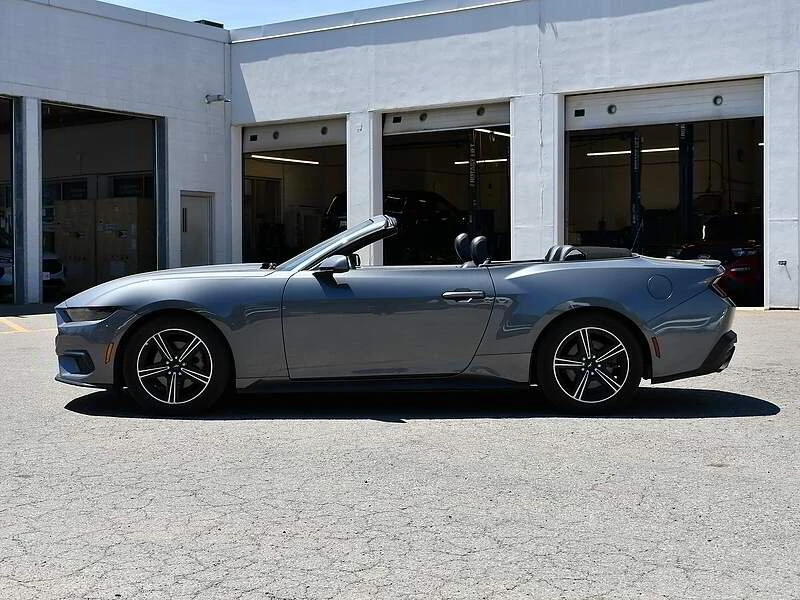 2025 Ford S650 Mustang - Image 2 of 9