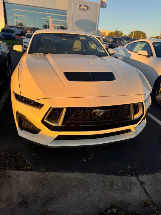 2025 Ford S650 Mustang - Image 3 of 9