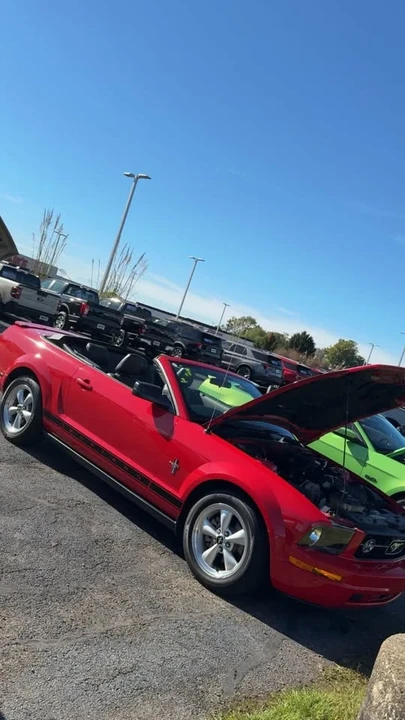 2025 Ford S650 Mustang - Image 3 of 13