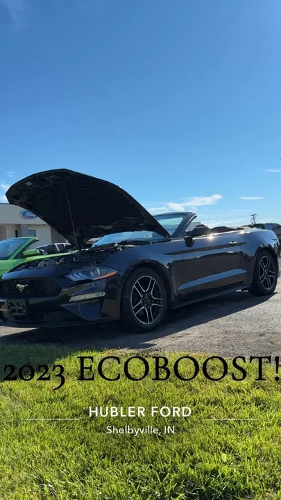 2025 Ford S650 Mustang - Image 6 of 13