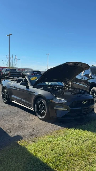 2025 Ford S650 Mustang - Image 5 of 13