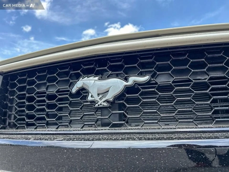 2025 Ford S650 Mustang - Image 9 of 20