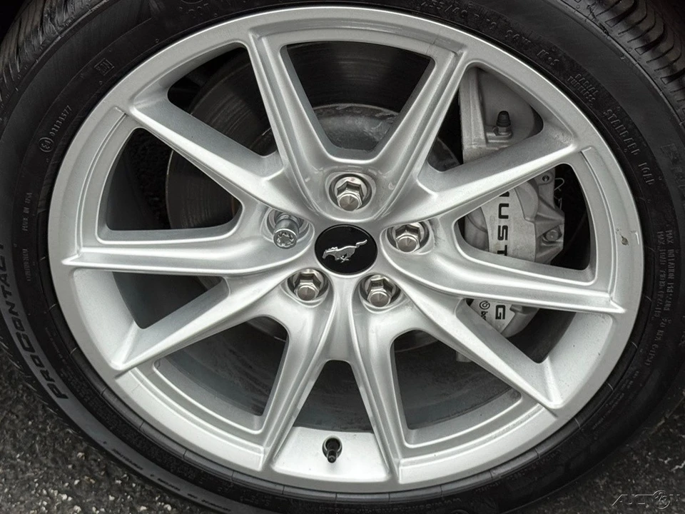 2025 Ford S650 Mustang - Image 10 of 12