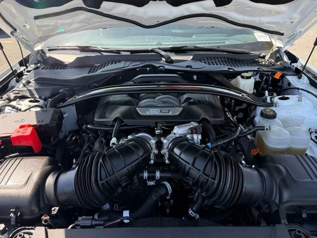 2025 Ford S650 Mustang - Image 30 of 31