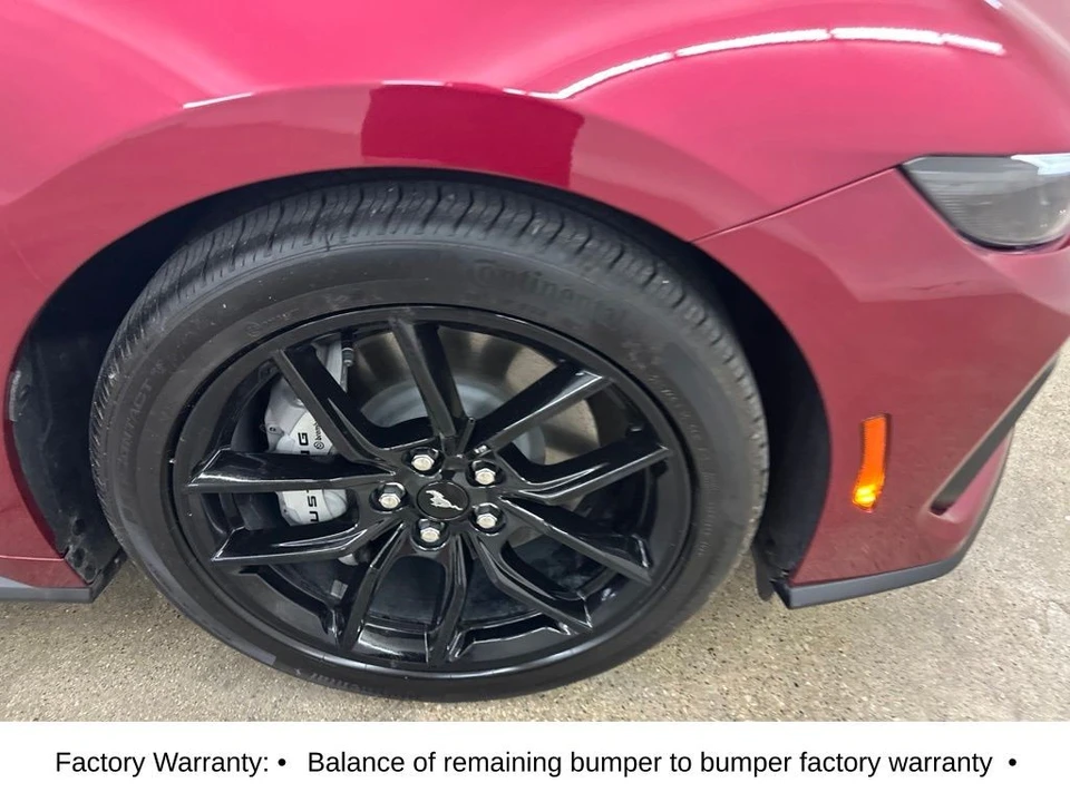2025 Ford S650 Mustang GT - Image 16 of 31