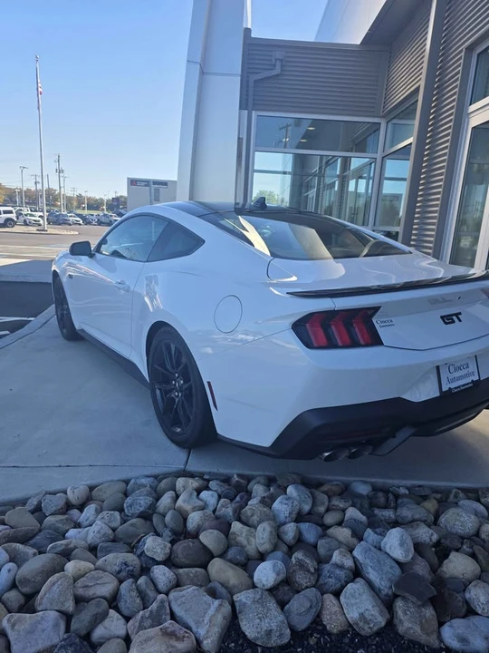 2025 Ford S650 Mustang - Image 3 of 8