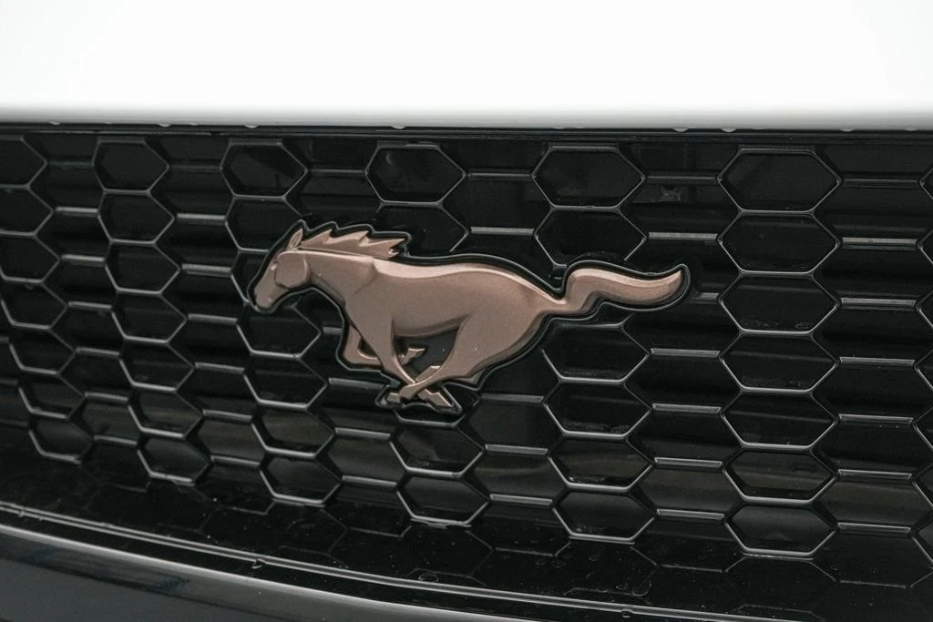 2025 Ford S650 Mustang - Image 12 of 21