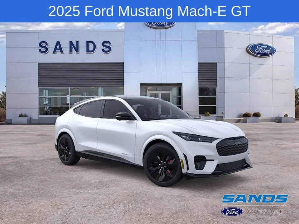 2025 Ford Mustang Mach-E - Image 7 of 13