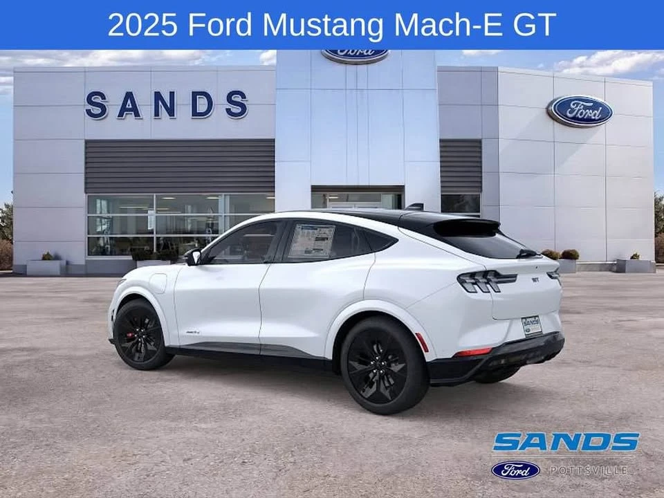 2025 Ford Mustang Mach-E - Image 4 of 13