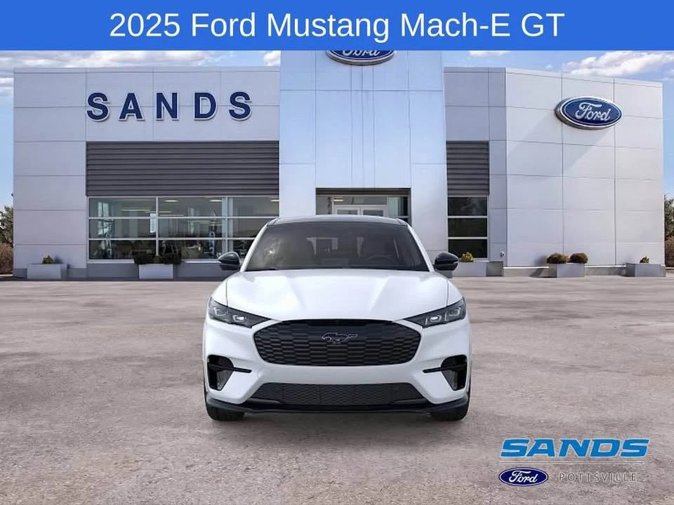 2025 Ford Mustang Mach-E - Image 6 of 13