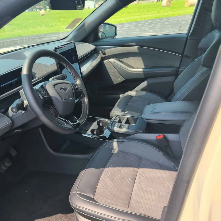 2025 Ford Mustang Mach-E - Image 9 of 12