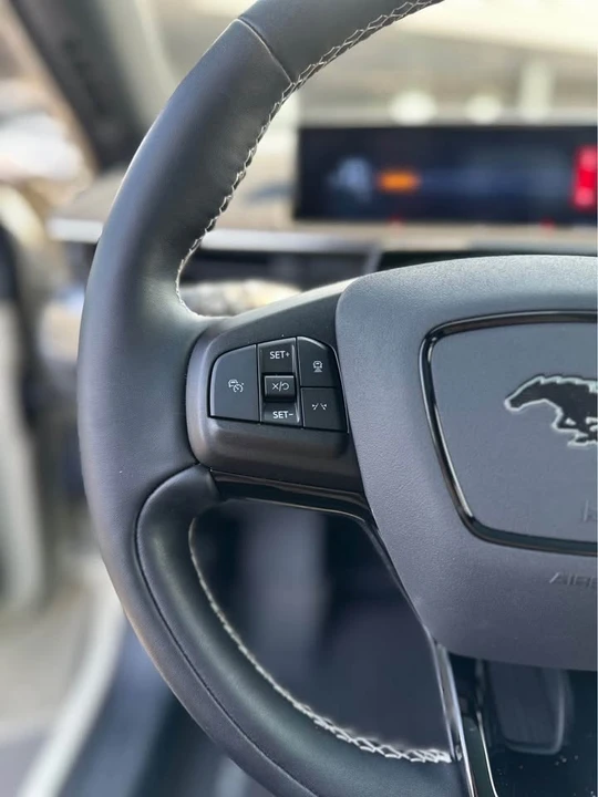 2025 Ford Mustang Mach-E - Image 9 of 15