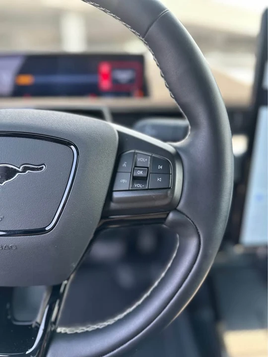 2025 Ford Mustang Mach-E - Image 10 of 15