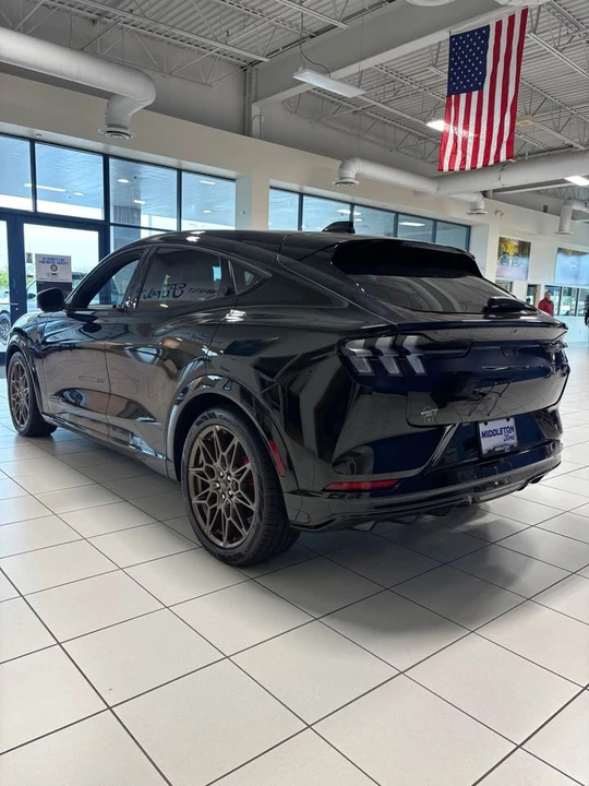2025 Ford Mustang Mach-E - Image 4 of 15
