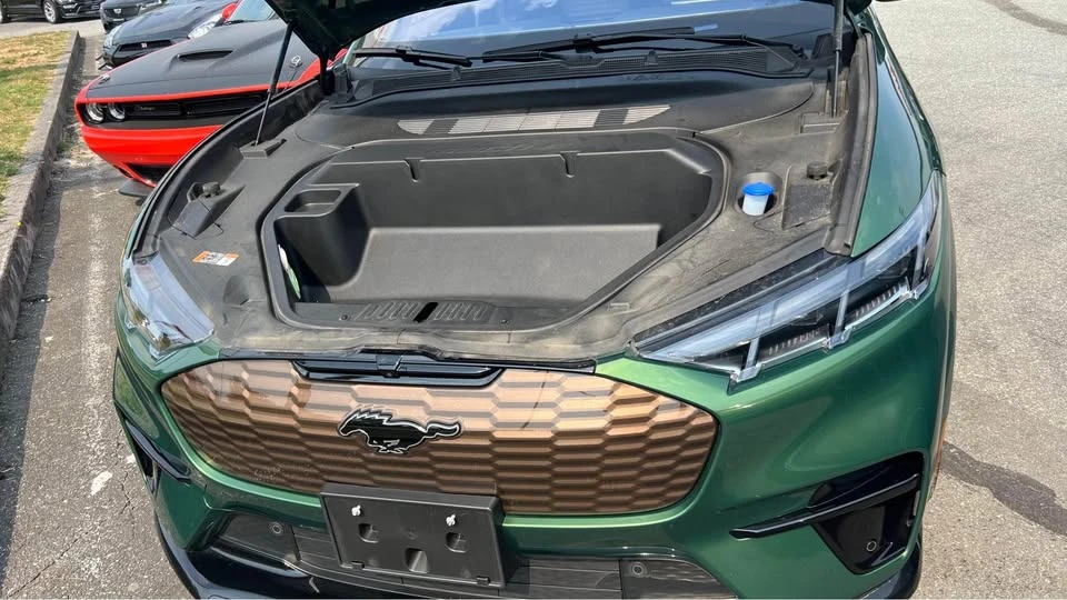 2025 Ford Mustang Mach-E - Image 12 of 13