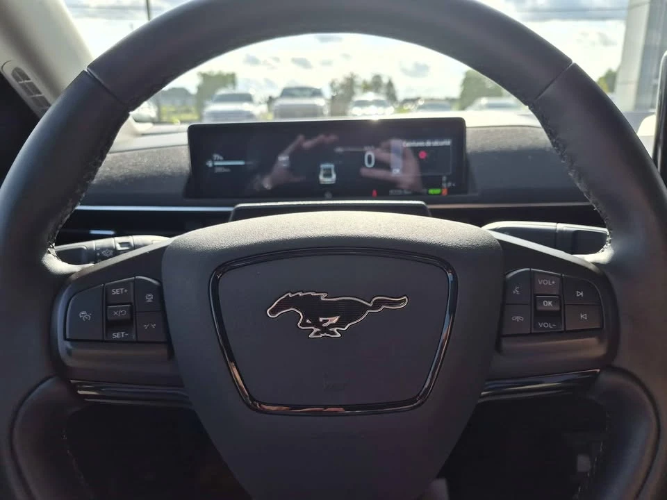 2025 Ford Mustang Mach-E - Image 14 of 19