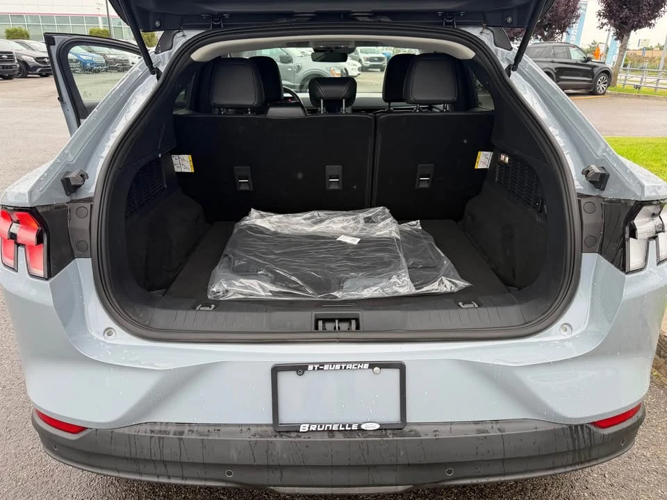 2025 Ford Mustang Mach-E - Image 18 of 18