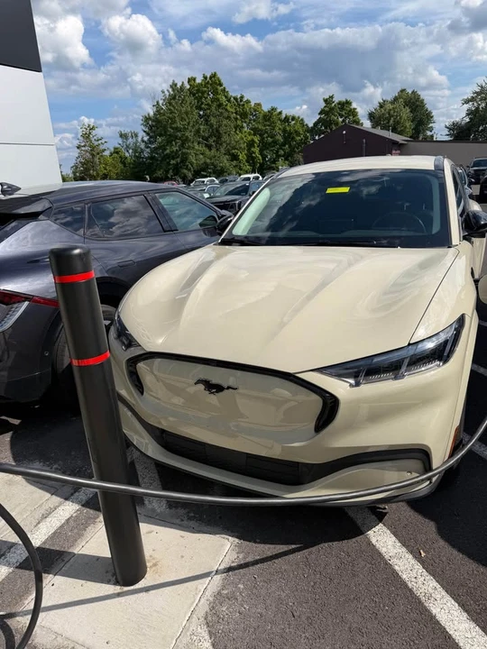 2025 Ford Mustang Mach-E - Image 2 of 4