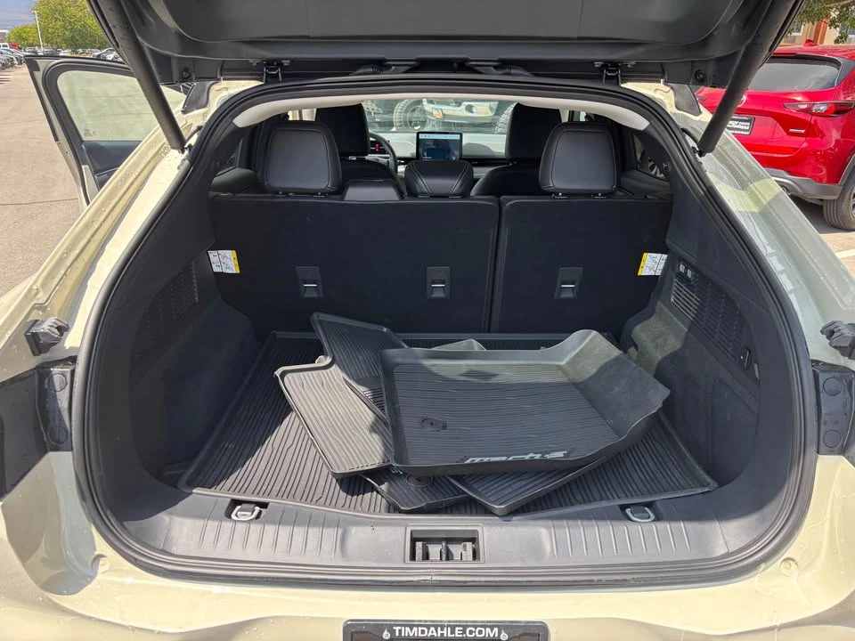 2025 Ford Mustang Mach-E - Image 15 of 15
