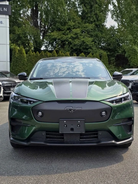 2025 Ford Mustang Mach-E - Image 2 of 18